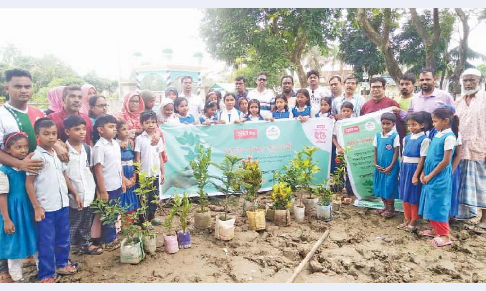 সবুজ বাংলাদেশ গড়ার স্বপ্ন