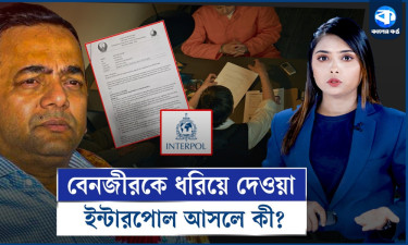 বেনজীর-কাণ্ডে নতুন করে আলোচনায় আসা ইন্টারপোল আসলে কী?