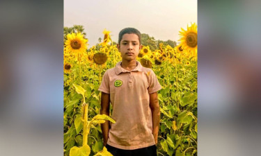 গফরগাঁওয়ে ব্রাজিলের পতাকা টাঙাতে গিয়ে বিদ্যুৎস্পৃষ্টে শিক্ষার্থীর মৃত্যু