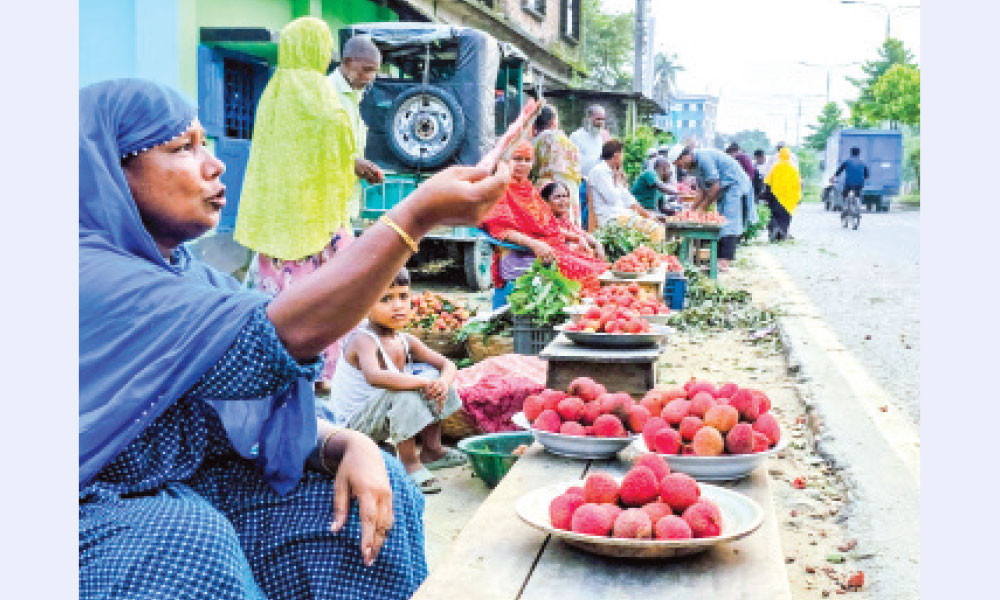 ঝরে পড়া লিচুর বাজার
