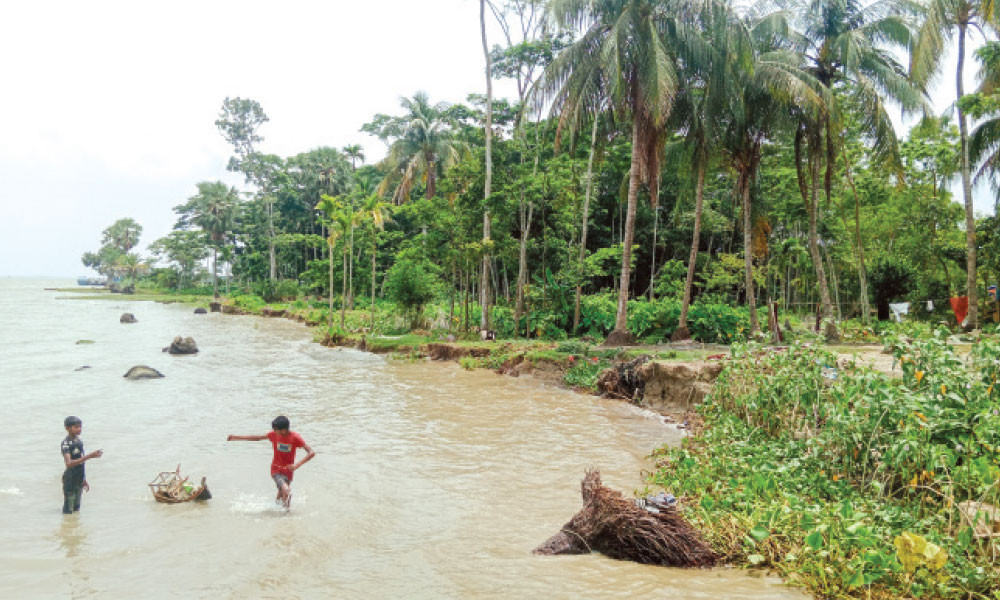 নদীর তীব্র ভাঙনে বিলীন হয়ে যাচ্ছে বেড়িবাঁধসহ বসতঘর ও রাস্তাঘাট
