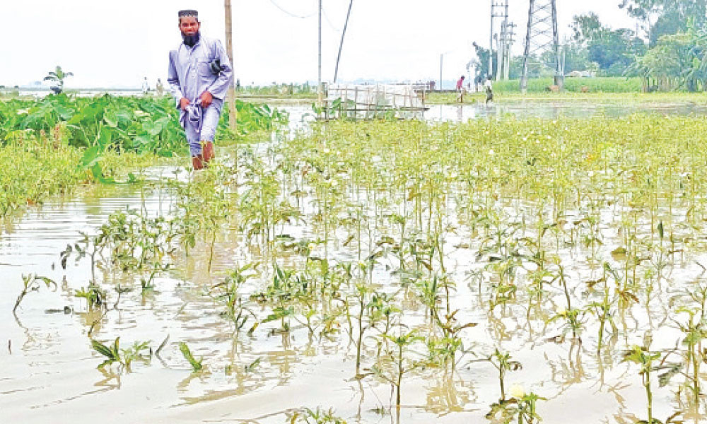 উত্তরের ৪ জেলায় বন্যার আভাস