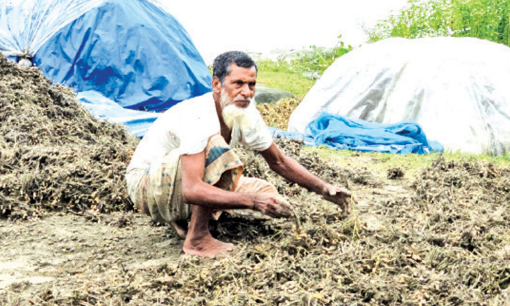 চরাঞ্চলের বাদাম, ভুট্টা, মরিচসহ বিভিন্ন ফসলি জমি তলিয়ে যাওয়ার শঙ্কা
