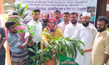 যশোরে প্রায় ৪ হাজার গাছের চারা বিতরণ
