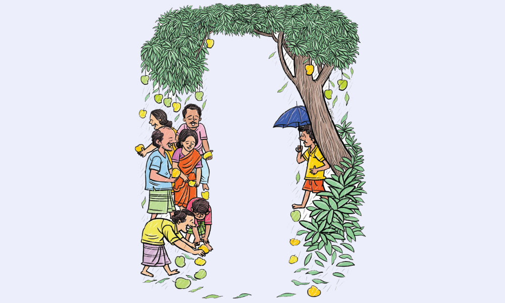 আম কুড়োবার ধুম