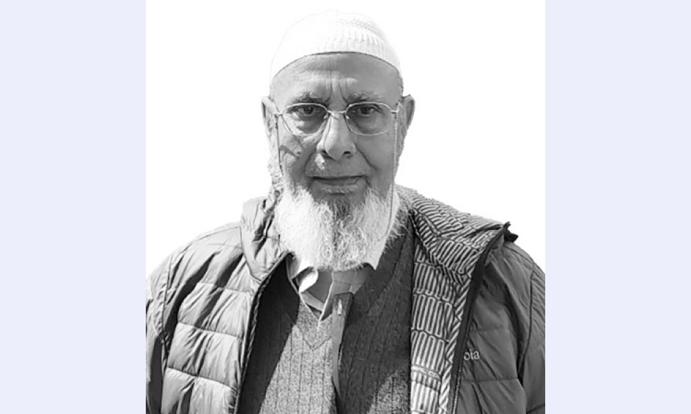 বহুমুখী ফসল : টেকসই কৃষির নতুন দিগন্ত