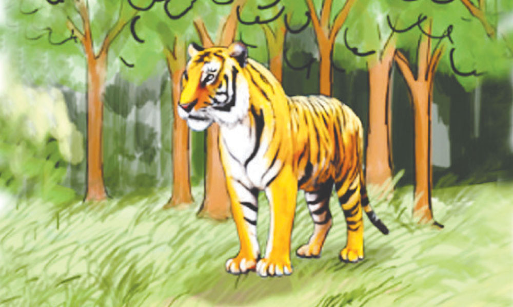 পঞ্চম শ্রেণি : অধ্যায়ভিত্তিক প্রশ্ন : দ্য সুন্দরবনস