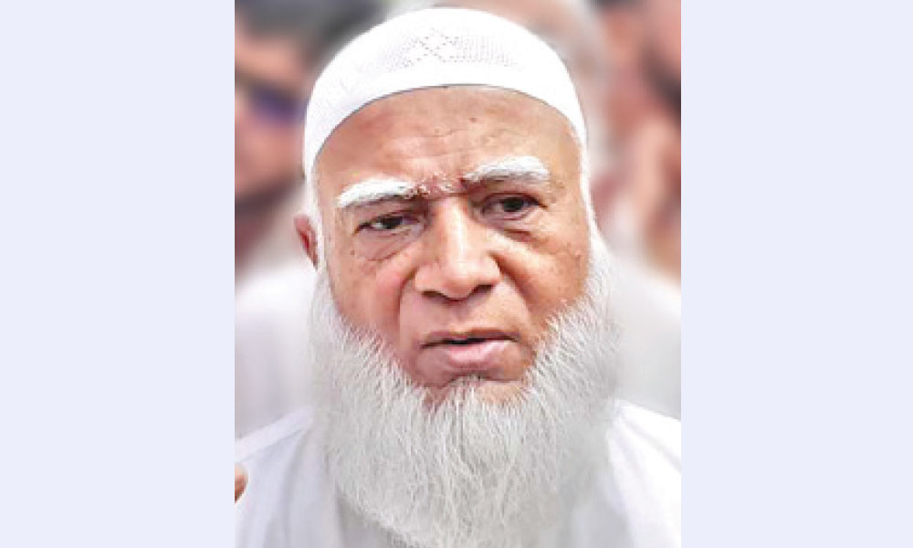 সুইডেনের বিনিয়োগ বাড়বে আশা জামায়াত আমিরের