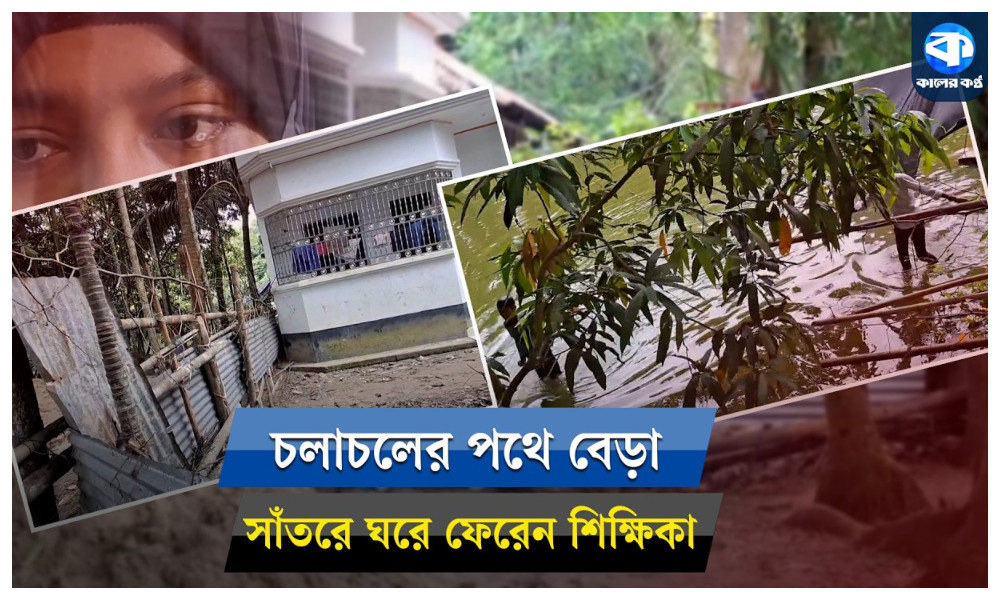 চাঁদপুরে প্রতিবেশীর অমানবিকতার শিকার শিক্ষক পরিবার