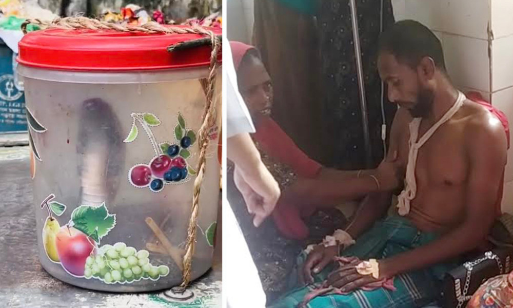 সাপের কামড়ে গুরুতর আহত হওয়ার পর সাপসহ হাসপাতালে কৃষক