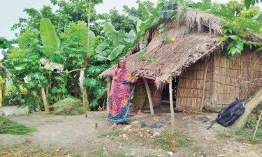 জোরালো হচ্ছে চর উন্নয়ন বোর্ড গঠনের দাবি
