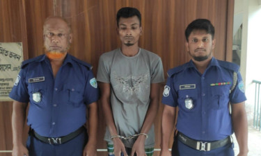 লাকসামে ১০ কেজি গাঁজাসহ মাদক কারবারি গ্রেপ্তার