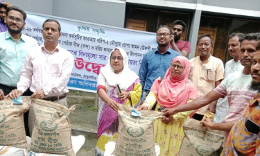 রানীশংকৈলে প্রান্তিক কৃষকদের মাঝে বিনা মূল্যে সার-বীজ বিতরণ