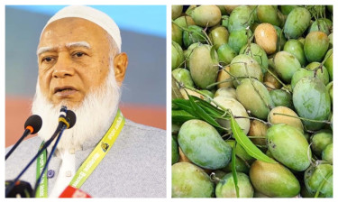 সংসদের সবাইকে বিরোধীদলীয় নেতার আম উপহার