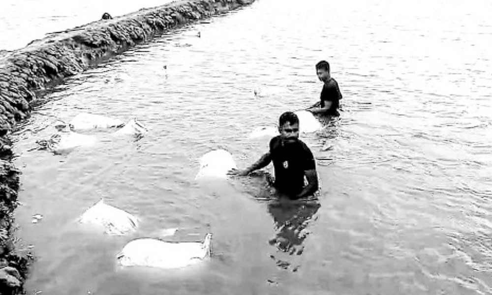 নাফ তীরে পাচারের জন্য ভাসিয়ে রাখা ইউরিয়া সার