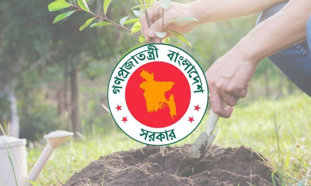 ২৫ কোটি গাছ রোপণের কার্বন ক্রেডিট বিক্রি করে বিলিয়ন ডলার আয় করতে পারে বাংলাদেশ
