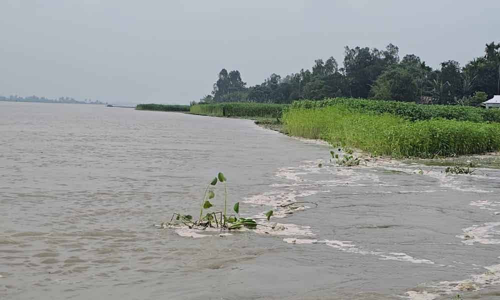কুড়িগ্রামে বাড়ছে নদ-নদীর পানি, নিম্নাঞ্চল প্লাবিত হওয়ার শঙ্কা