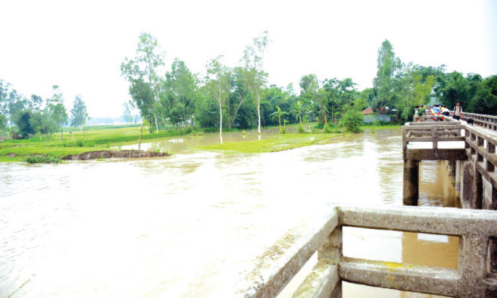 তিস্তার ভাঙনে হুমকিতে গ্রোয়েন