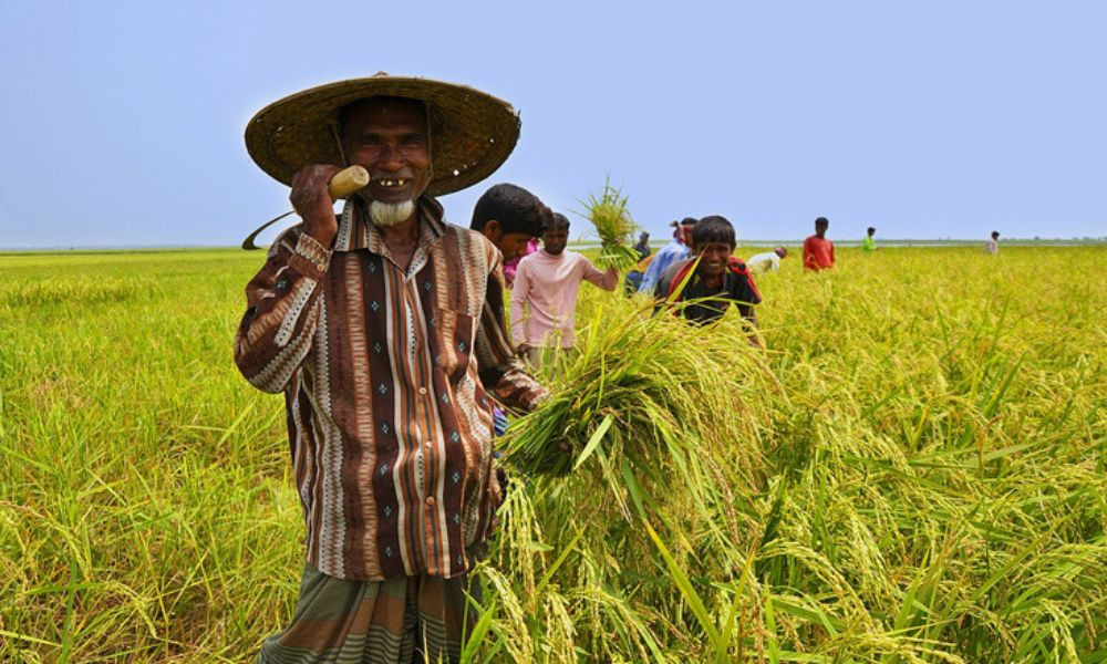 কৃষি তথ্য সার্ভিসে কৃষিতে ‘নীরব বিপ্লব’
