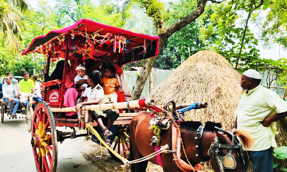 ১২ বছর পর নাতির জন্ম, ঘোড়ার গাড়িতে ঘুরিয়ে মিষ্টি বিলালেন নানা