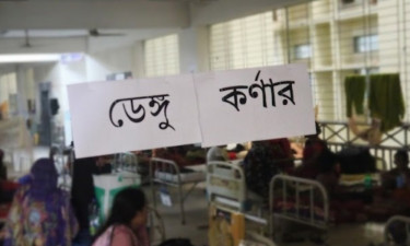 ২৪ ঘণ্টায় ডেঙ্গুতে দুজনের মৃত্যু