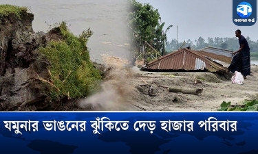 যমুনায় বিলীন বিদ্যালয়, সড়কের পাশে চলছে পাঠদান