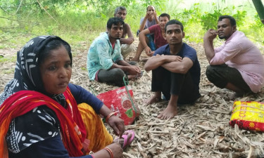 মেহেরপুর সীমান্তে ৭ জনকে ‘পুশইনের’ চেষ্টা, বিজিবি-স্থানীয়দের বাধা