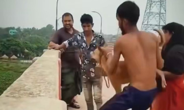 কুকুরের গলায় ইট বেঁধে নদীতে নিক্ষেপ, নরসিংদীতে গ্রেপ্তার ১