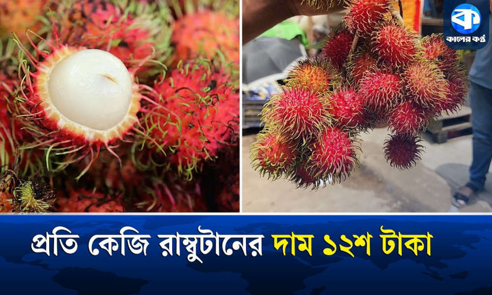 পাহাড়ের বাজারে শোভা যাচ্ছে বিদেশি জাতের সুস্বাদু ফল রাম্বুটান
