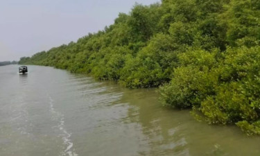 সুন্দরবনে কোস্ট গার্ডের সঙ্গে ‘দুলাভাই বাহিনীর’ গোলাগুলি, নিহত ১
