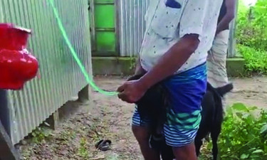 বাঞ্ছারামপুরে ছাগল ব্যবসায়ীর বিরুদ্ধে অমানবিক আচরণের অভিযোগ