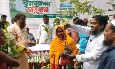 ঠাকুরগাঁওয়ে জামায়াতের বৃক্ষরোপণ অভিযান
