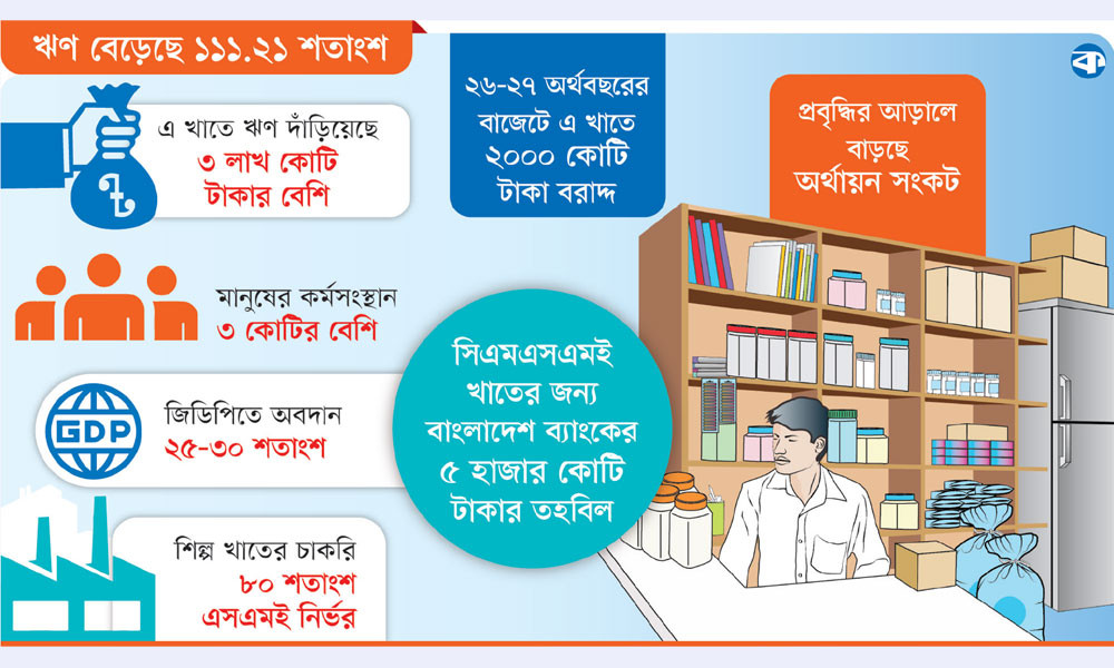 ১০ বছরে এসএমই বিপ্লব