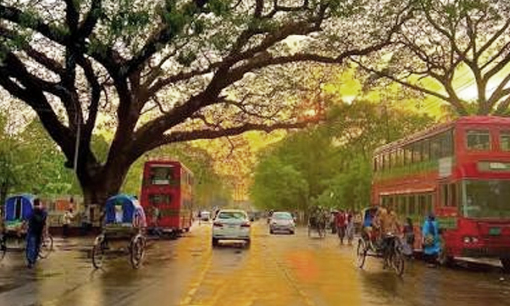ঢাবির ভিসি চত্বরে তরুণকে আটকে মুক্তিপণ দাবি, সাবেক শিক্ষার্থীসহ গ্রেপ্তার ৩