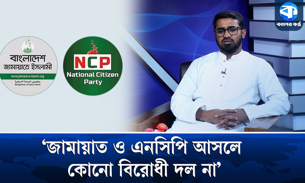 ‘হাসনাত ও হান্নান মাসউদ বাজেট বাদ দিয়ে চানাচুর মার্কা আলোচনা করেছেন’