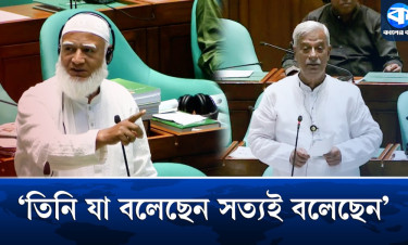 জুলাইয়ের মাস্টারমাইন্ড নিয়ে মুখোমুখি জামায়াত আমির-বিএনপি এমপি