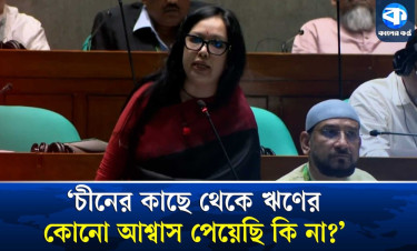 চীনের কাছ থেকে ঋণের কোনো আশ্বাস পেয়েছি কি না : প্রশ্ন রুমিন ফারহানার