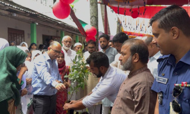 নেত্রকোনায় নিমের চারা লাগিয়ে জাতীয় বৃক্ষরোপণ কর্মসূচি উদ্বোধন