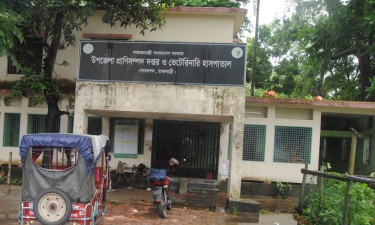 ভেটেরিনারি সার্জন নেই ছয় বছর, চিকিৎসা দেন কম্পাউন্ডার