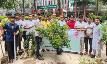 আজিজুল হক কলেজে বসুন্ধরা টিস্যু ও শুভসংঘের বৃক্ষরোপণ কর্মসূচি