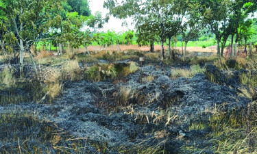 রাতের আঁধারে কবরস্থানে অগ্নিসংযোগ, ক্ষোভে ফুঁসছে এলাকাবাসী