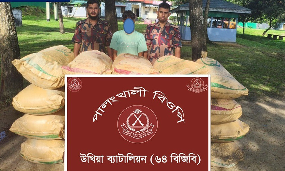 টেকনাফ সীমান্তে বিজিবির অভিযান, ২০ বস্তা ইউরিয়া সারসহ আটক ১