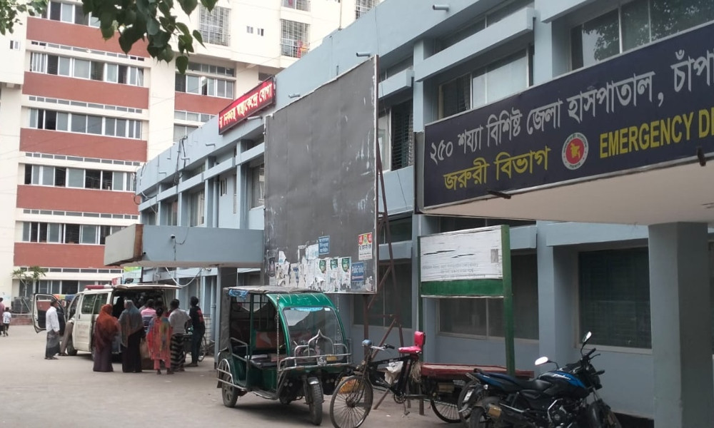 চাঁপাইনবাবগঞ্জে সাপের কামড়ে কৃষকের মৃত্যু