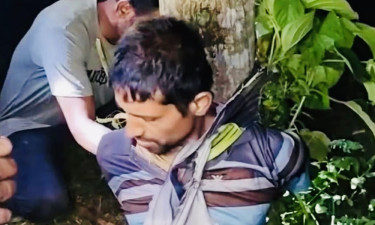 চালককে গাছে বেঁধে ভ্যান-টাকা ও মোবাইল ছিনতাইয়ের অভিযোগ