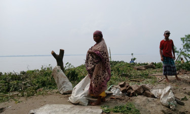 ব্রহ্মপুত্রে তীব্র ভাঙন, উদ্যোগ নেই পাউবোর