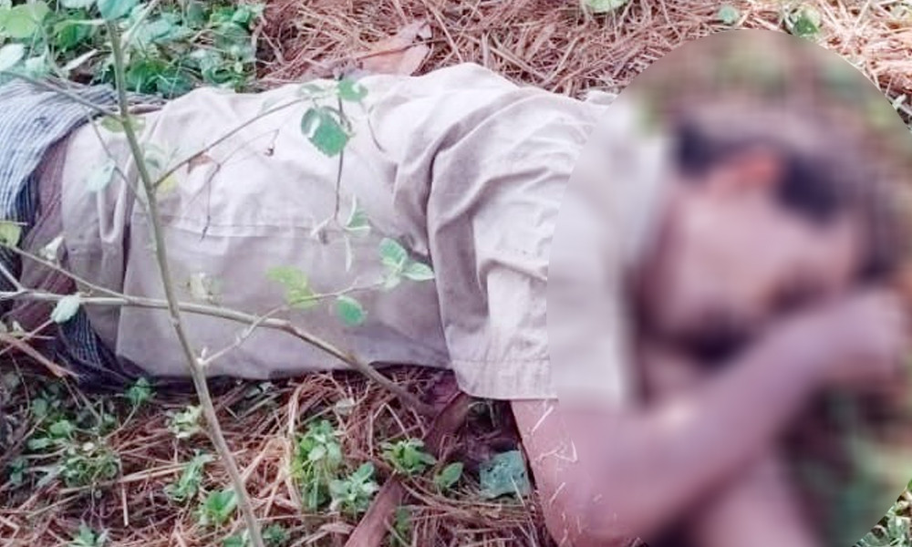 নিয়ামতপুরে সড়কের পাশ থেকে যুবকের মরদেহ উদ্ধার