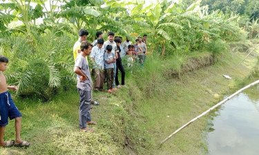 চুরি ঠেকাতে পুকুরের চারপাশে অরক্ষিত বিদ্যুৎ সংযোগ, ভ্যানচালকের মৃত্যু