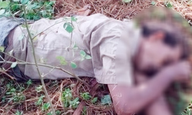 নিয়ামতপুরে সড়কের পাশ থেকে যুবকের মরদেহ উদ্ধার