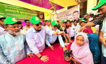 প্রাকৃতিক দুর্যোগ মোকাবেলায় বৃক্ষরোপণের বিকল্প নেই