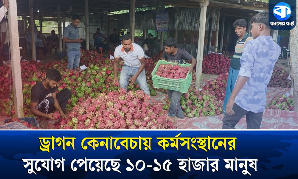 ড্রাগনের রাজধানী খ্যাত বাজারে প্রতিদিন কোটি টাকার ড্রাগন কেনাবেচা